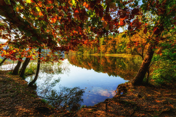 Herbst am Liepnitzsee 