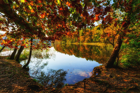 Herbst am  Liepnitzsee 