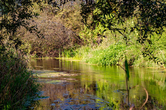 River Isma In The Borovsky District, Kaluzhskiy Region, Russia