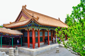Chinese garden park