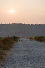 Foggy sunset over trail