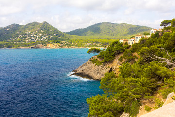The blue sea surrounded with the mountains covered with the pine wood, the rocks which are going down to water, fancifully curved trunks of pines in the foreground.