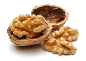 Walnut