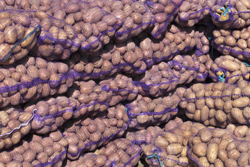 Potatoes in bags sold on the market