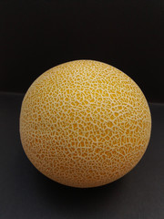 Melon Galia fruit