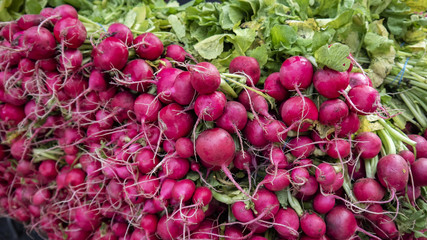 Pink beets for sale