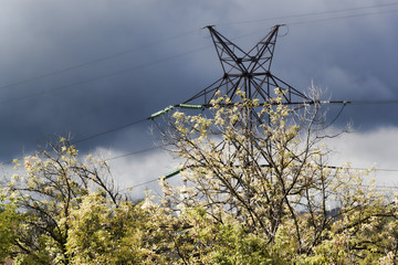 Power line support