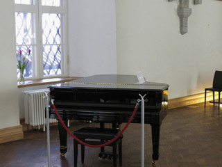 Parlour grand piano stringed instrument