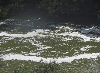 dark green water surface background