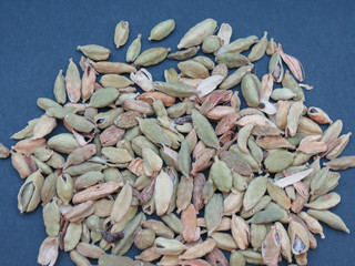 raw cardamon seeds