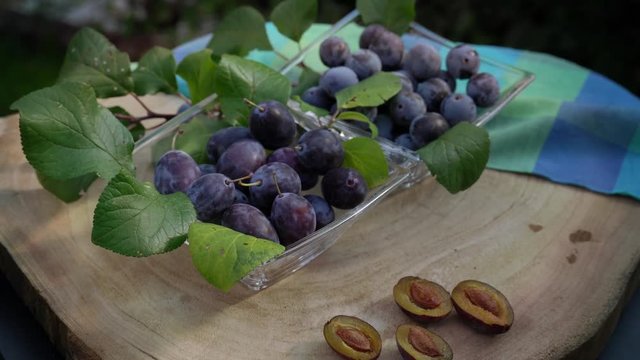 Zwei Glas Schalen zeigen einen Vergleich von Pflaumen und Zwetschgen. Die Fr&uuml;chte drehen sich auf einer Baumscheibe. K&uuml;hle Farben.