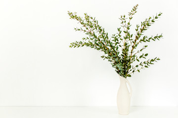 Branches of eucalyptus in vase on table on light background. Home decor. Blog, website or social media concept .