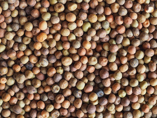 roveja wild peas legumes vegetables food