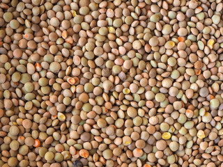 lentils pulse grain legume (Lens Culinaris) legumes vegetables background