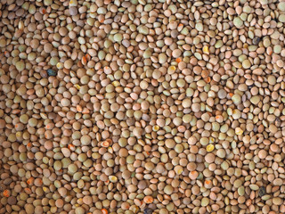 lentils pulse grain legume (Lens Culinaris) legumes vegetables background