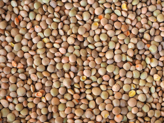 lentils pulse grain legume (Lens Culinaris) legumes vegetables background
