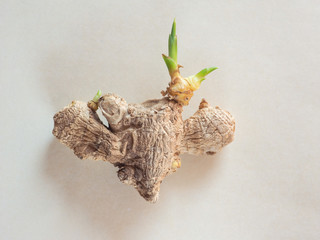 ginger root vegetables food