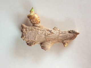 ginger root vegetables food