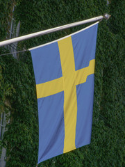 Swedish Flag of Sweden