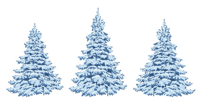 Winter trees in the snow. A set for Christmas design and decoration. Nature in winter. Winter forest. Frost. Vector .Eps 10.