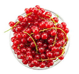 Red currant berry isolated on white background