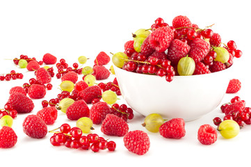Wild berries on white background