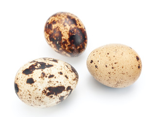 Fototapeta premium Quail eggs isolated on white background