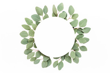 Round frame made of branches eucalyptus isolated on white background. lay flat, top view