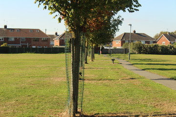 an empty park