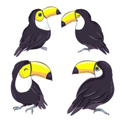 Fototapeta premium An illustration of a nice toucan in vector format. A cute toucan bird image for kid's education and fun in nursery and schools, and decoration purposes. Jungle animals collection