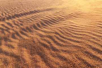 sand dune / bright summer evening before sunset photo