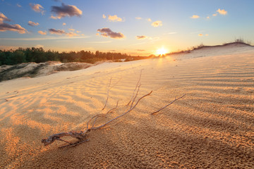 sunset in the desert / sand dune bright sunset colorful sky