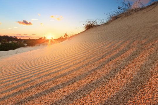 sunset in the desert / sand dune bright sunset colorful sky