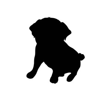 Pug purebred dog sitting in side view with shadow - vector silhouette isolated