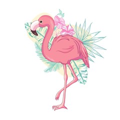 Flamingo bird illustration design on background