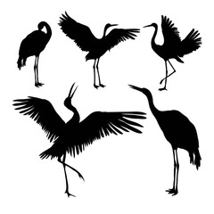 crane silhouette - vector illustration