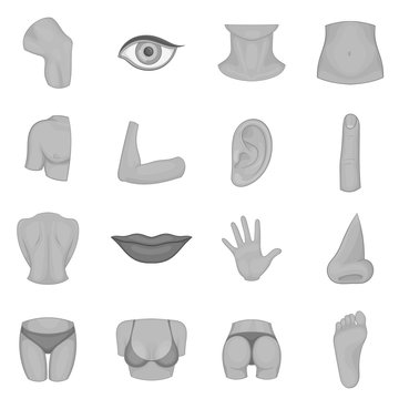 Body parts icons set in monochrome style isolated on white background