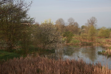 Fototapeta premium season