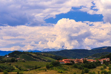 Fototapeta premium Stormy day in the vineyards of Brda, Slovenia