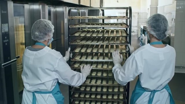 Rear view of two female factory workers in protective clothing pushing baking rack with trays of delicious cookies