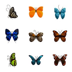 Bright motley butterflies icons set. Cartoon illustration of 9 bright motley butterflies vector icons for web