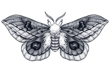 Hand drawn butterfly tattoo. Dotwork tattoo. Beautiful moth. Automeris Randa. Mystical symbol of freedom, beauty, life,