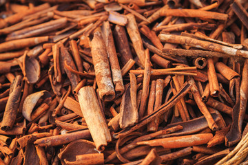 brown cinnamon sticks set