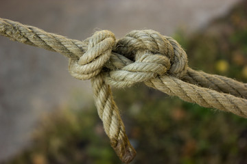 sea knots rope