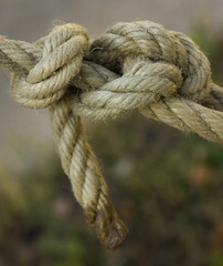 sea knots rope