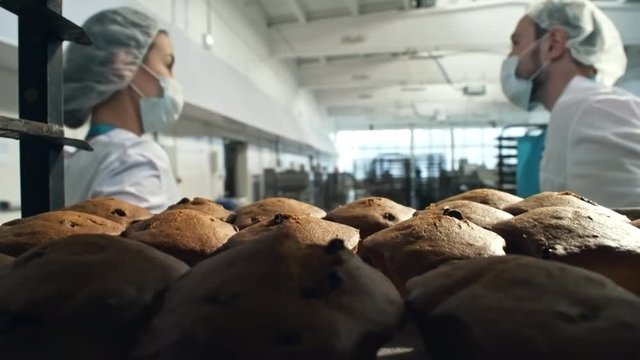 Two confectionery workers in protective clothing pulling baking rack with fresh cupcakes and talking to each other