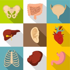 Structure of human icons set. Flat illustration of 9 structure of human vector icons for web