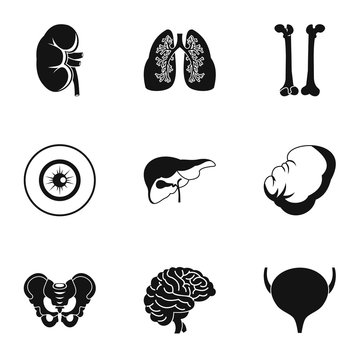 Internal organs icons set. Simple illustration of 9 internal organs vector icons for web