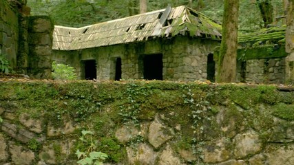 a fabulous landscape, the ruins of an old stone house in a dense forest. trees covered with moss and a mountain stream near the house. 4k.