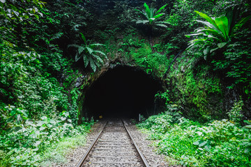 Railway tunnel in the wild jungle. India